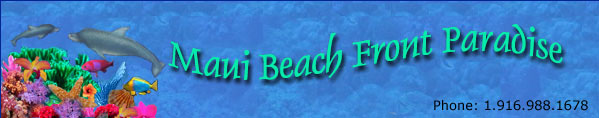 Beachfront Maui Vacation Condo